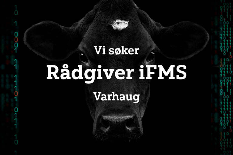 Vi søker Rådgiver Team iFMS Vi søker Rådgiver Team iFMS