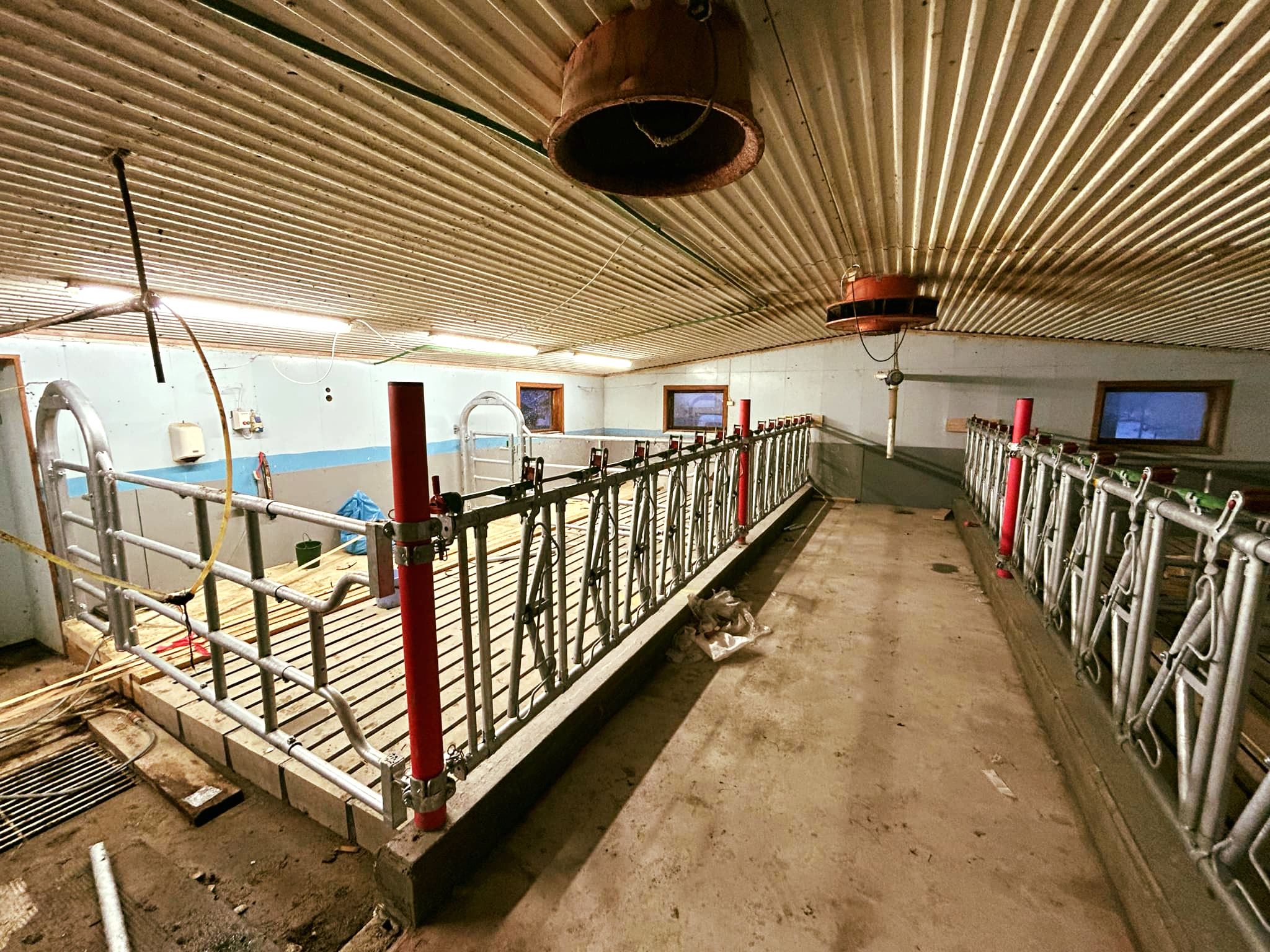 Fra båsfjøs til oksefjøs i Dalsbygda