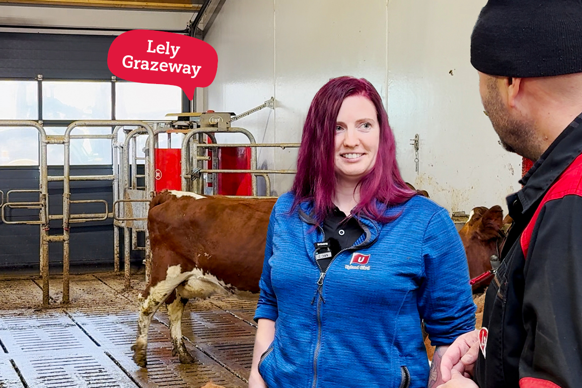 ABC-beiting med Lely Grazeway