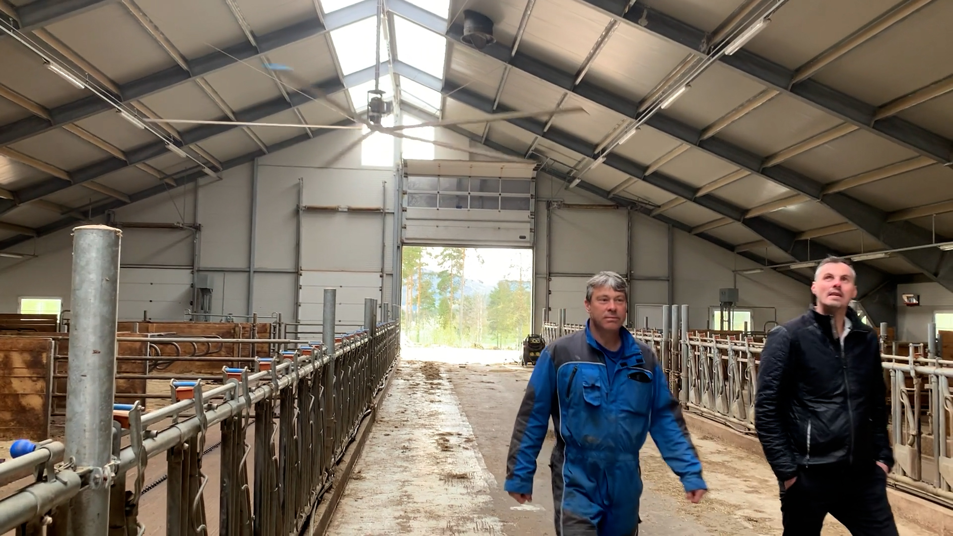 Bedre fjøsmiljø med to-veis helikoptervifter