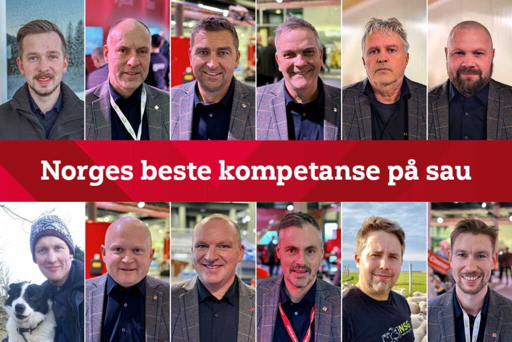 Norges beste kompetanse på sau Norges beste kompetanse på sau