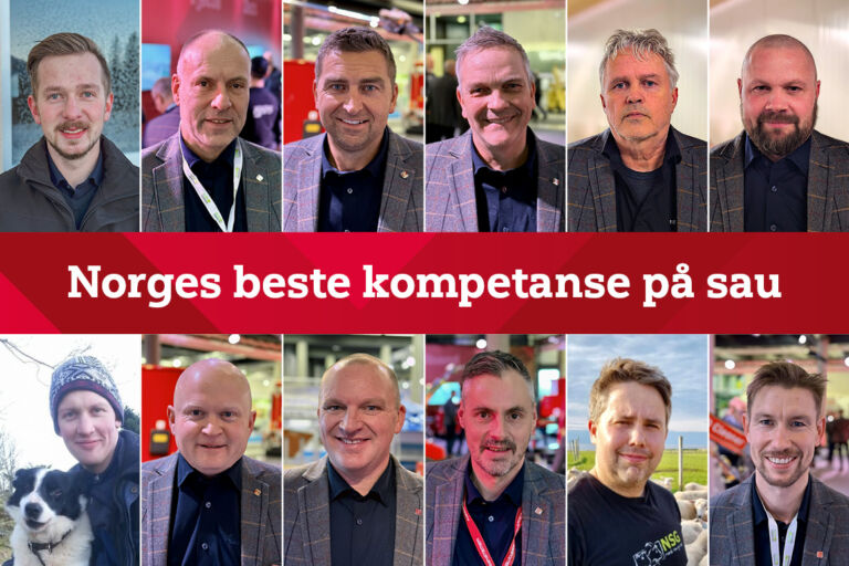 Norges beste kompetanse på sau Norges beste kompetanse på sau