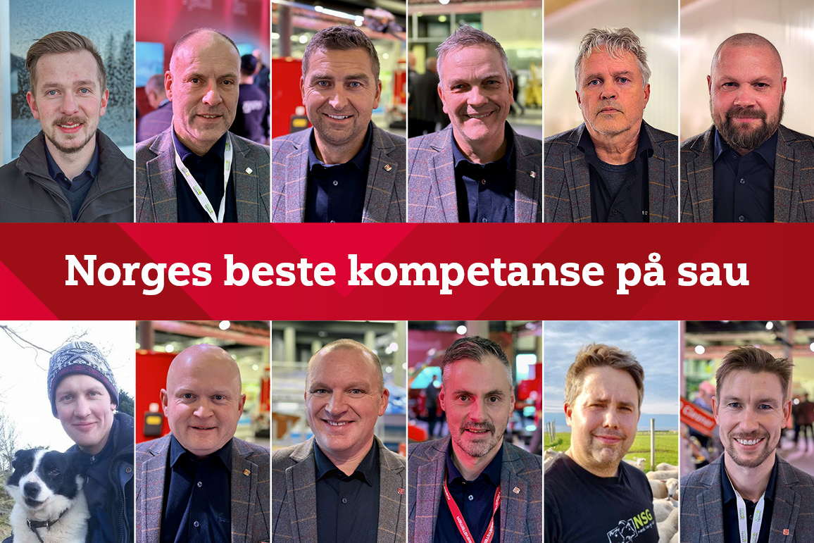Norges beste kompetanse på sau