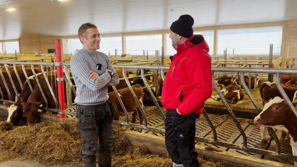 Fra takband til Lely Vector hos Hans Ulberg Fra takband til Lely Vector hos Hans Ulberg
