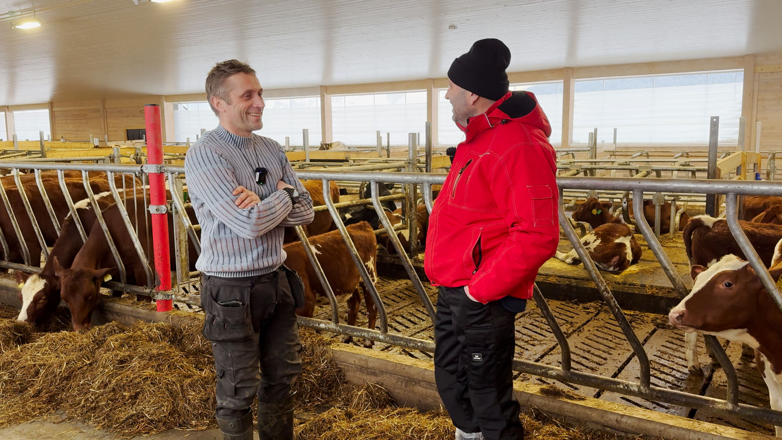 Fra takband til Lely Vector hos Hans Ulberg