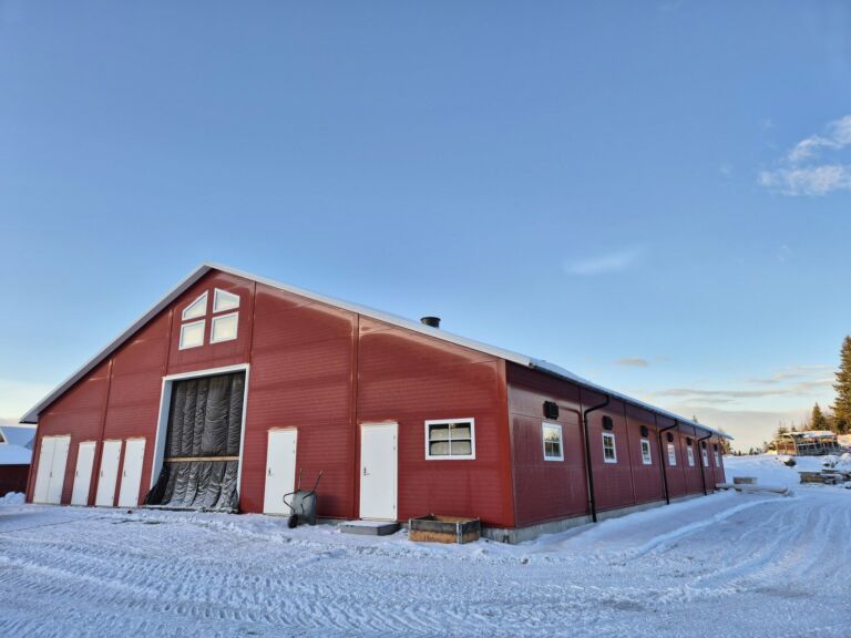 Oppstart frittstående melkekufjøs i Øvre Snertingdal