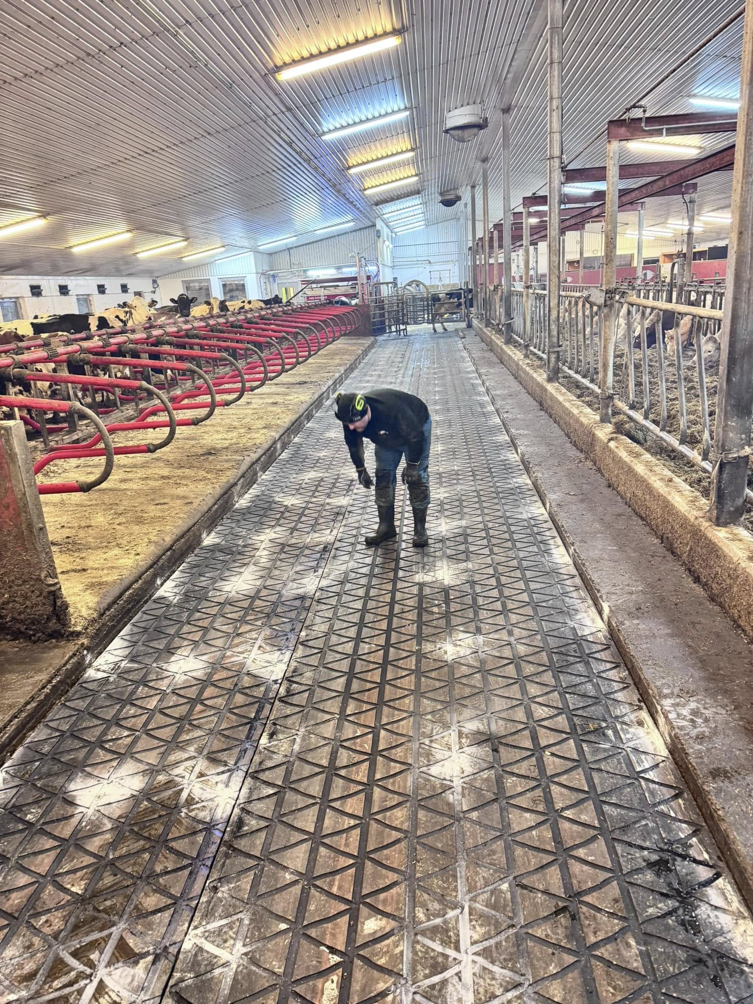 ZIG ZAG gummimatter i Nord-Østerdalen