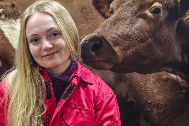 Hanna Kjærstad og status iFMS Hanna Kjærstad og status iFMS