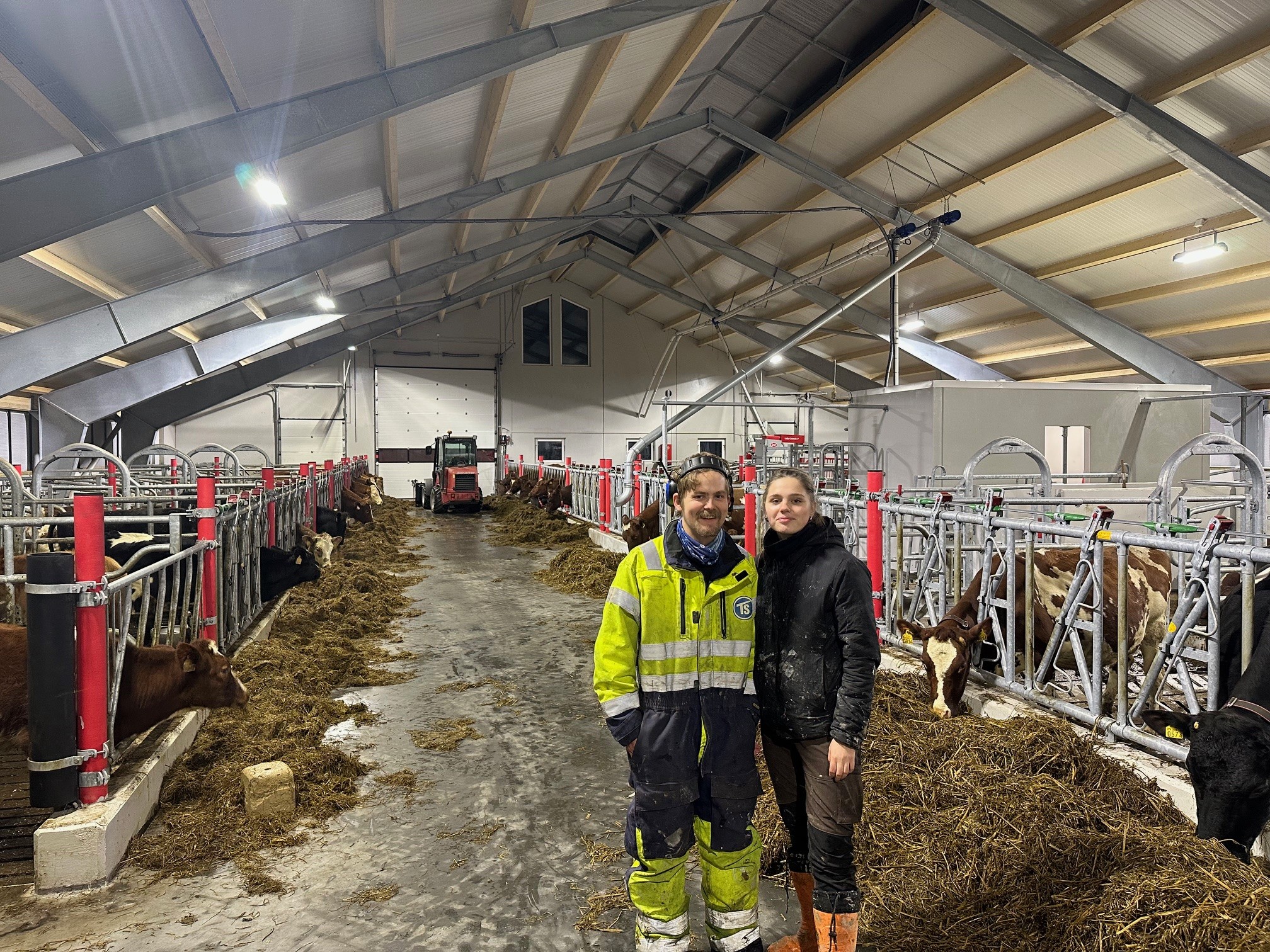 Nytt fjøs på Sviland i Sandnes