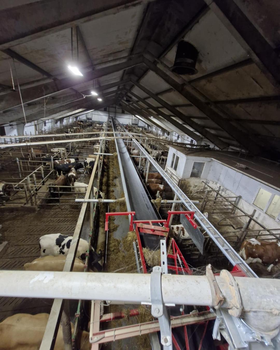 Nytt bandfôringsanlegg hos Åge og Solfrid Holta på Tau