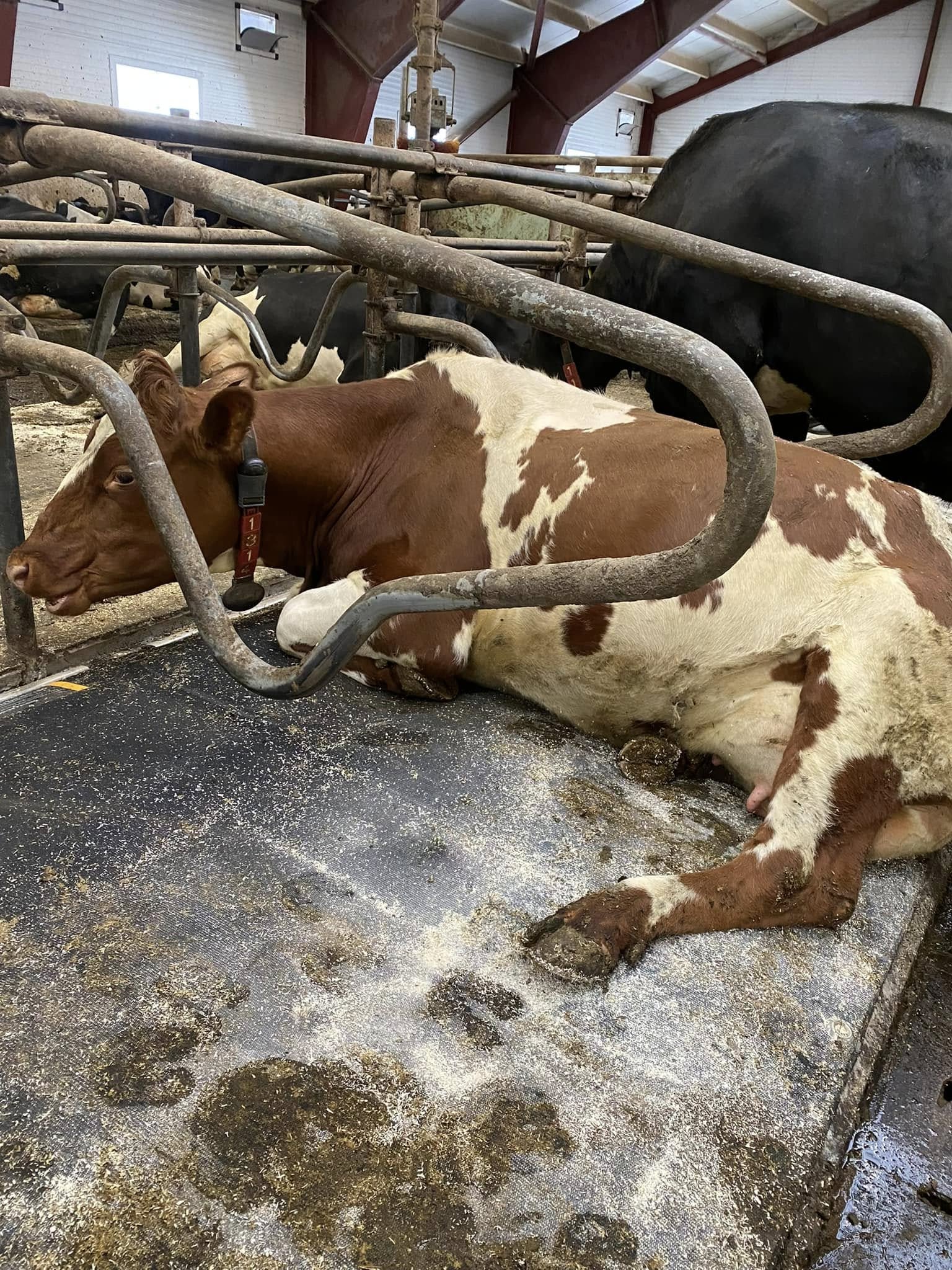 Økt ytelse med oppgradering av liggeunderlaget