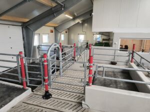 May Sissel og Sveinar Vadla i Årdal, februar 2025