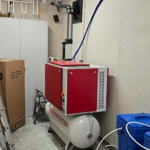 Magnus Åsegg, Steinsdalen februar 2025