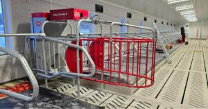 Lely Cosmix hos Magnus Åsegg, Steinsdalen februar 2025