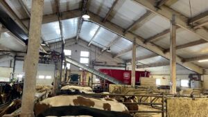 BvL fullfôrblander med Rollax elevator hos Fliflet Samdrift på Fåberg, februar 2025