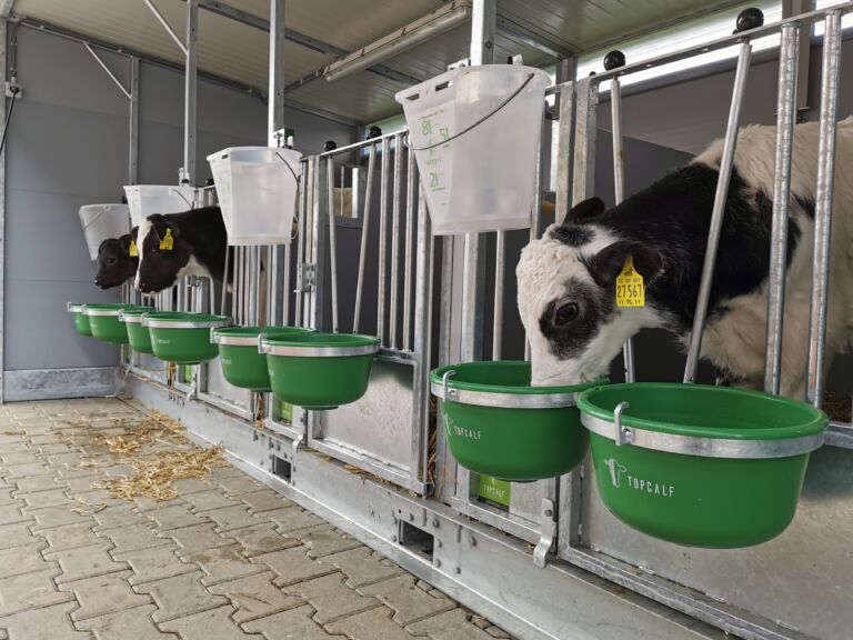 Topcalf – alt til kalven Topcalf – alt til kalven