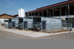 f1dbb6e3-a2b6-43cc-92ee-80edf53b8a08 Topcalf, kalveinnredning