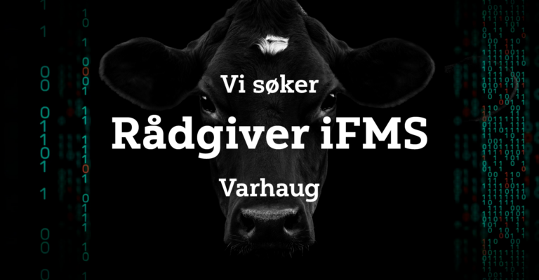 250305_Stillingsannonse_Rådgiver
