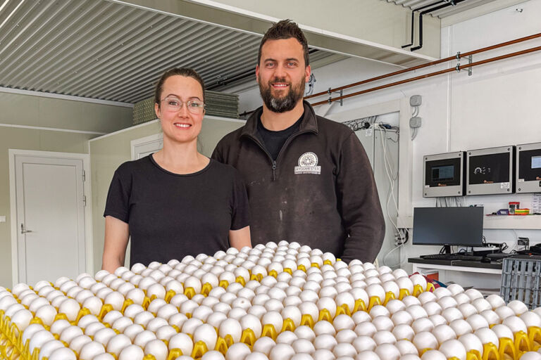 Eggproduksjon og optimisme på Brekka gård i Stjørdal Eggproduksjon og optimisme på Brekka gård i Stjørdal