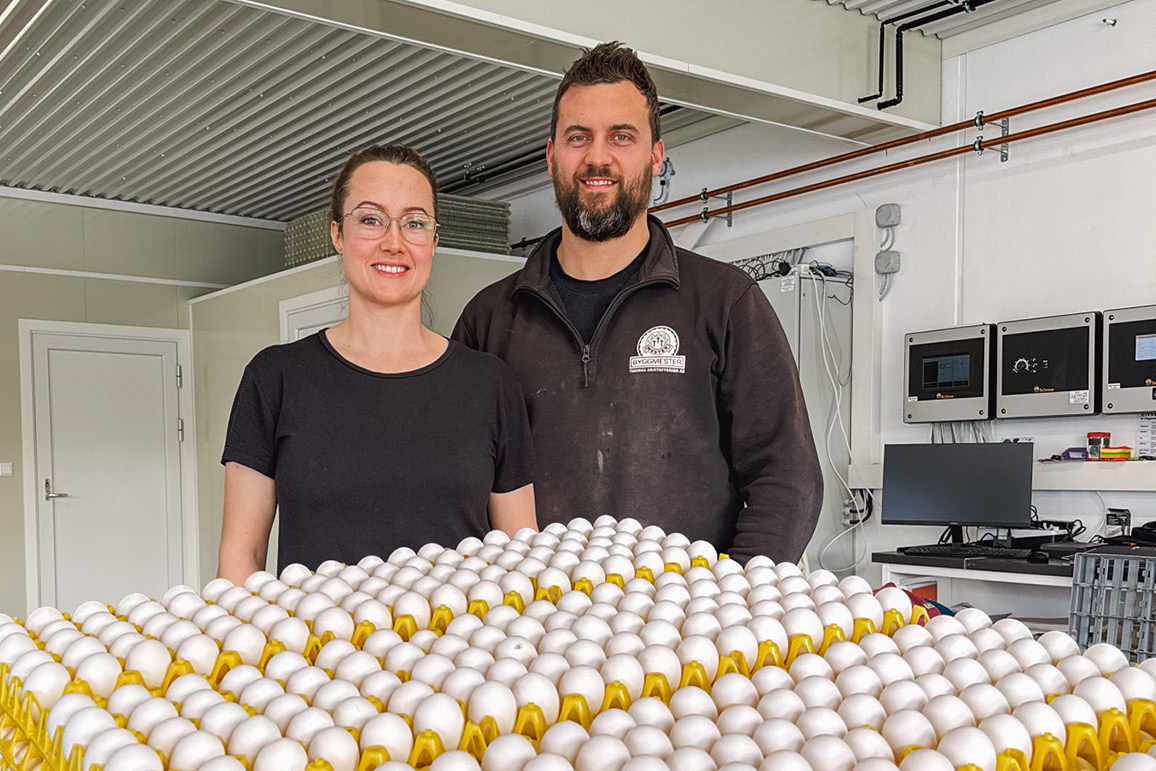 Eggproduksjon og optimisme på Brekka gård i Stjørdal