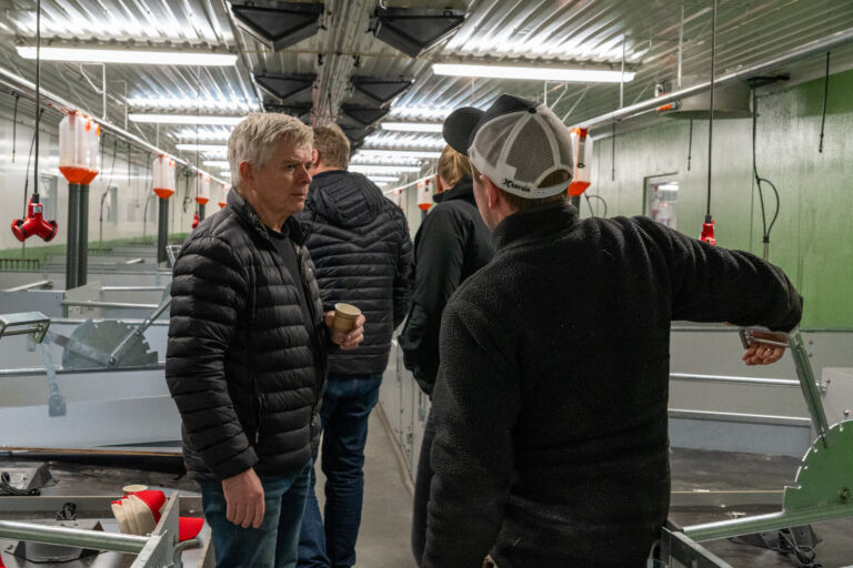 Nytt grisehus på Stavsjø