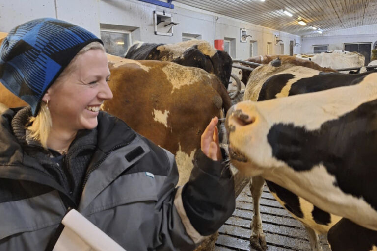Slik lykkes du med Holstein-avl Slik lykkes du med Holstein-avl