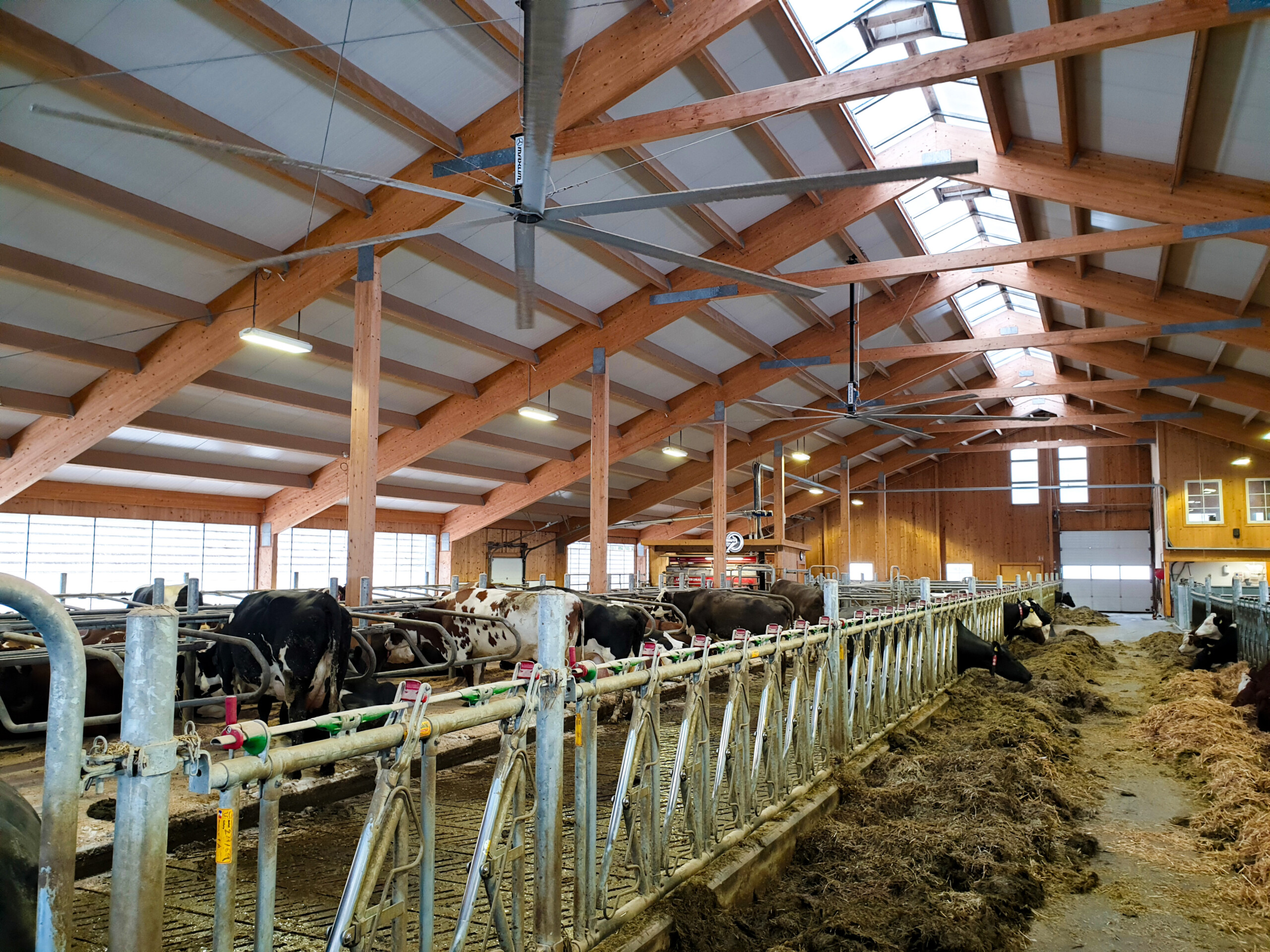 Varmestress og helikoptervifter