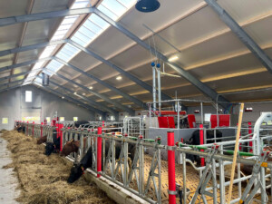 Gjermund Undheim, mai 2025