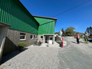 Ammekufjøs hos familien Steinsland i Bjerkreim, mai 2025