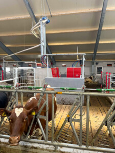 Gjermund Undheim, mai 2025