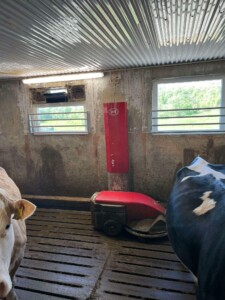 Lely Discovery hos familien Steinsland i Bjerkreim, mai 2025