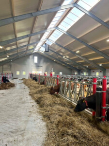 Gjermund Undheim, mai 2025