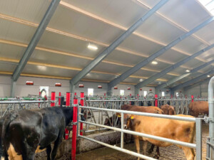 Gjermund Undheim, mai 2025