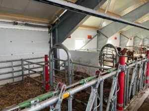 Ammekufjøs med stort maskinrom hos Espen Bjerkreim, mai 2025