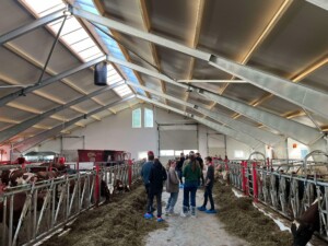 Ammekufjøs med stort maskinrom hos Espen Bjerkreim, mai 2025