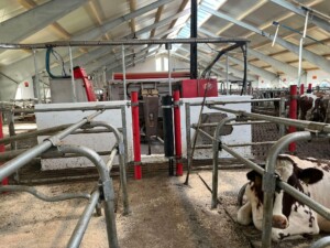 Ammekufjøs med stort maskinrom hos Espen Bjerkreim, mai 2025