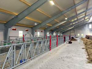 Gjermund Undheim, mai 2025