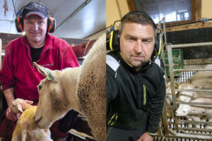 Kjetil Lien og Anders Konglevoll under lamming