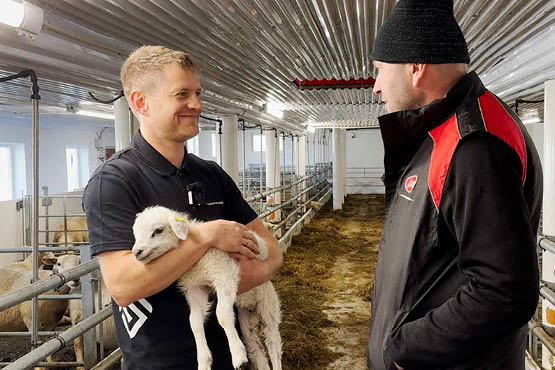 Kjetil Slettebø med kopplam i armene, 2025