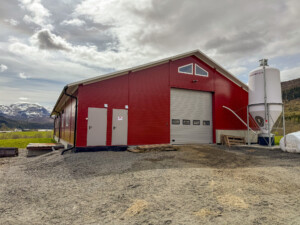 Tommy Gutvik Eriksen. Bardal, 2025