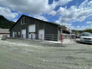 Sveinar Vadla, Hjelmeland 2025