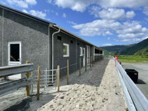 Sveinar Vadla, Hjelmeland 2025