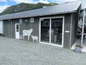 Sveinar Vadla, Hjelmeland 2025