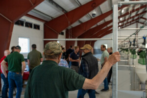 Slaktegrisfjøs hos Oleane og Ole Bjarne Enger. Betongspalt og talleløsning. Tangen 2025