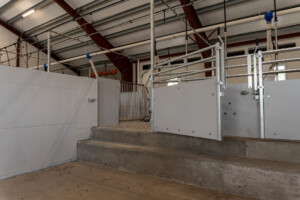 Slaktegrisfjøs hos Oleane og Ole Bjarne Enger. Betongspalt og talleløsning. Tangen 2025