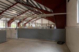 Slaktegrisfjøs hos Oleane og Ole Bjarne Enger. Betongspalt og talleløsning. Tangen 2025