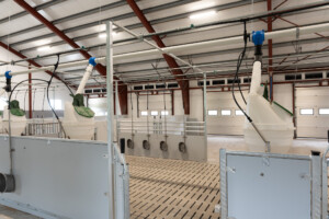 Slaktegrisfjøs hos Oleane og Ole Bjarne Enger. Betongspalt og talleløsning. Tangen 2025