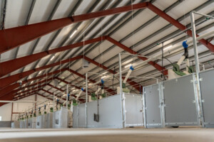 Fra ammekufjøs til slaktegrisfjøs hos Oleane og Ole Bjarne Enger. Tangen 2025