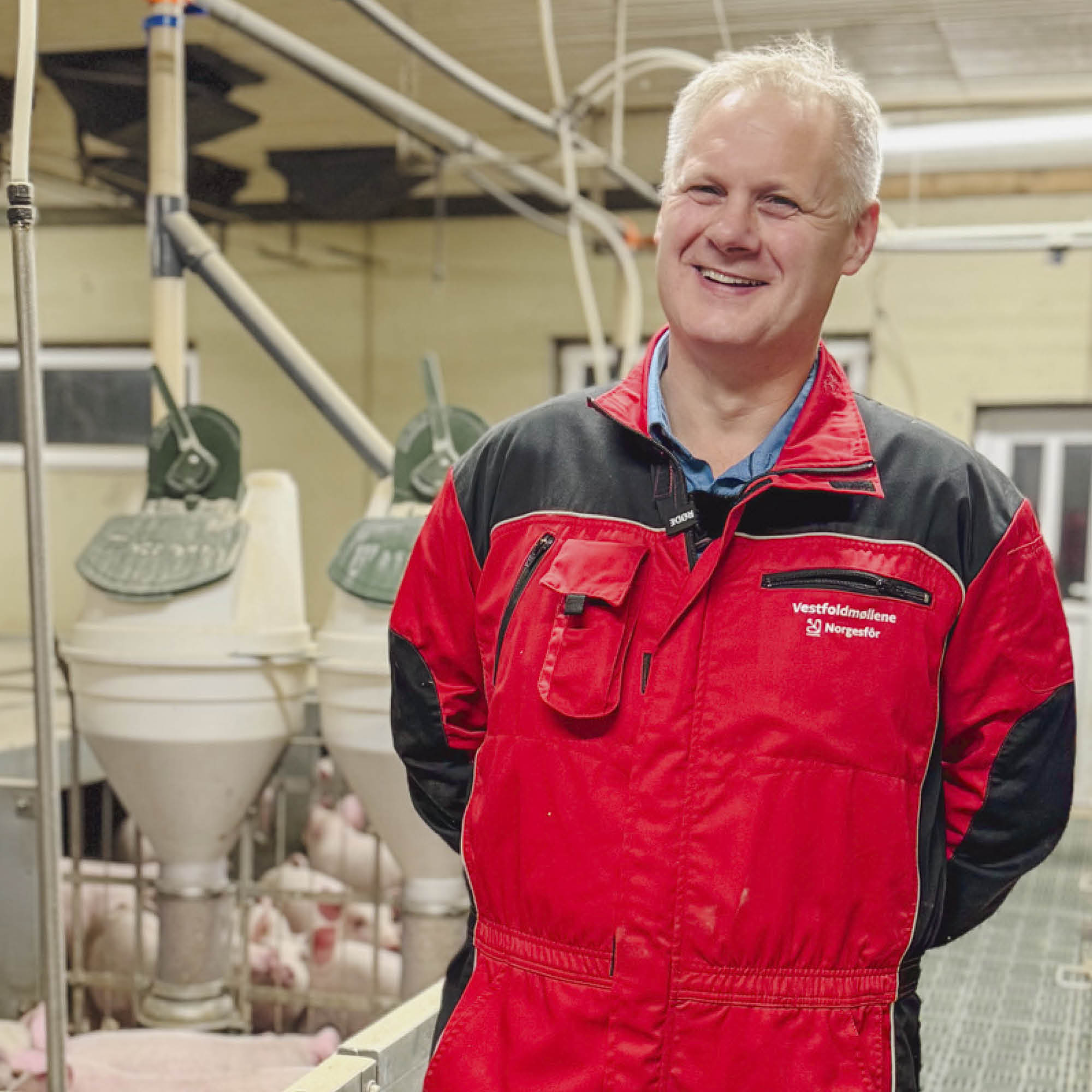 Mellom topplister og tøffe tak i grisehverdagen