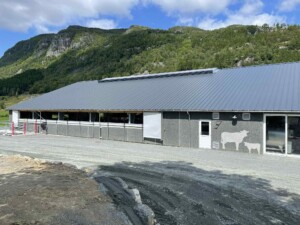 Sveinar Vadla, Hjelmeland 2025